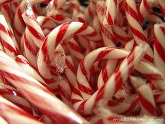 PEPPERMINT Pictures, Images and Photos