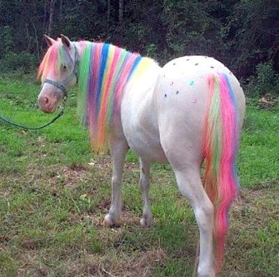 Image result for rainbow horse