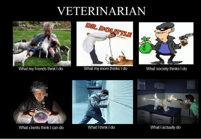 vet-1.jpg