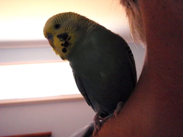 P1050076.jpg