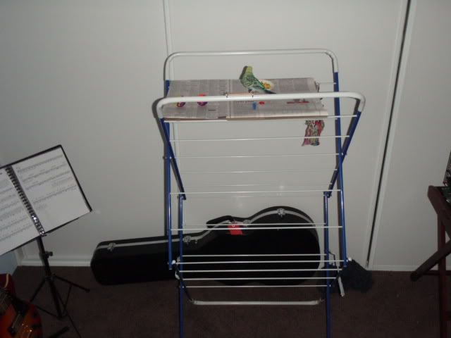 P6280007.jpg