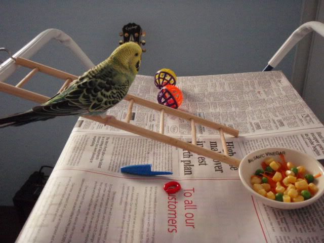P6280008.jpg