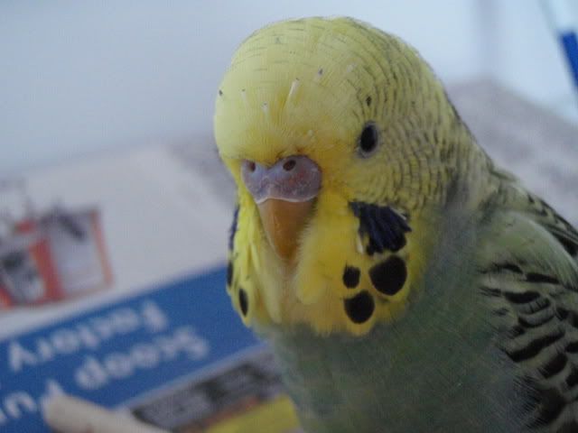 P7200016.jpg