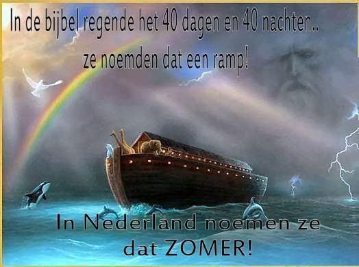 zomer.jpg