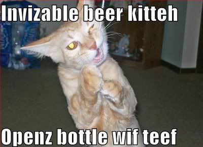 Beerkitten.jpg Beer Kitten image by ForbiddenSymphony1