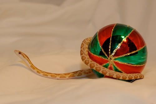 leochristmasball.jpg