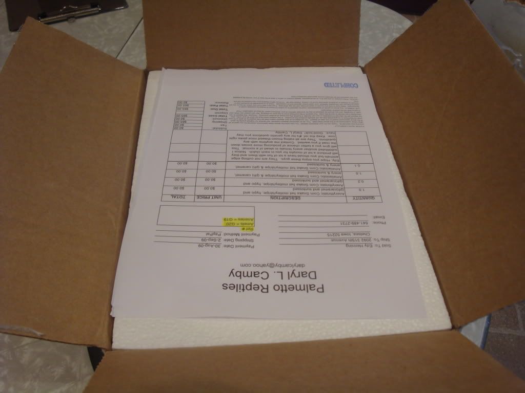 DSC02425.jpg