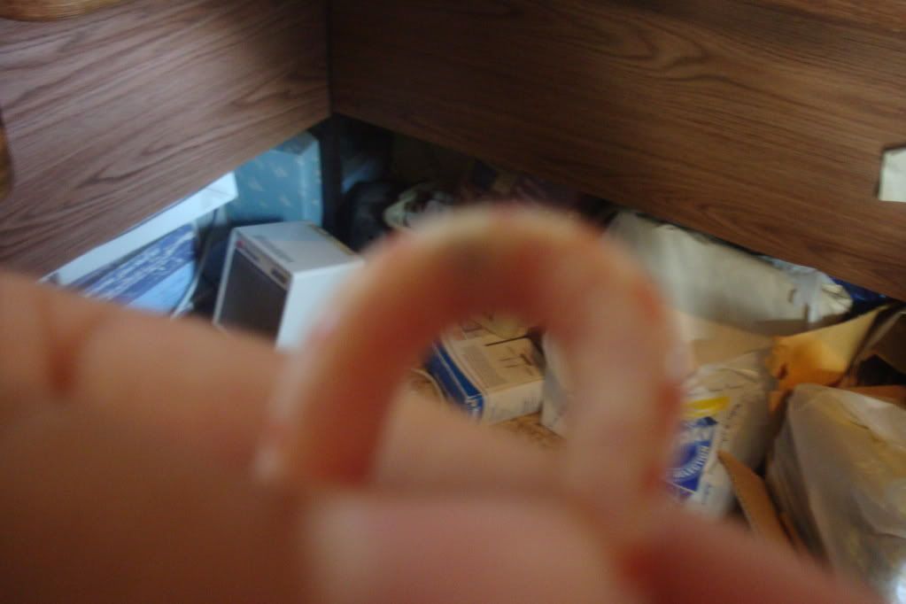 DSC02444.jpg