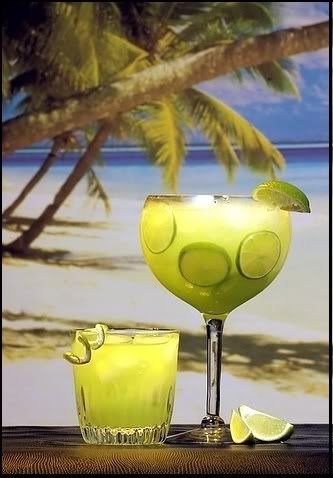 on the rocks