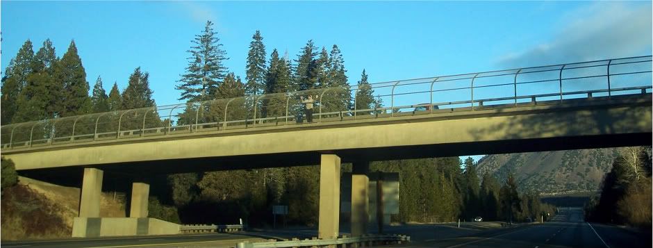 Overpass Guy Overpass Northern California