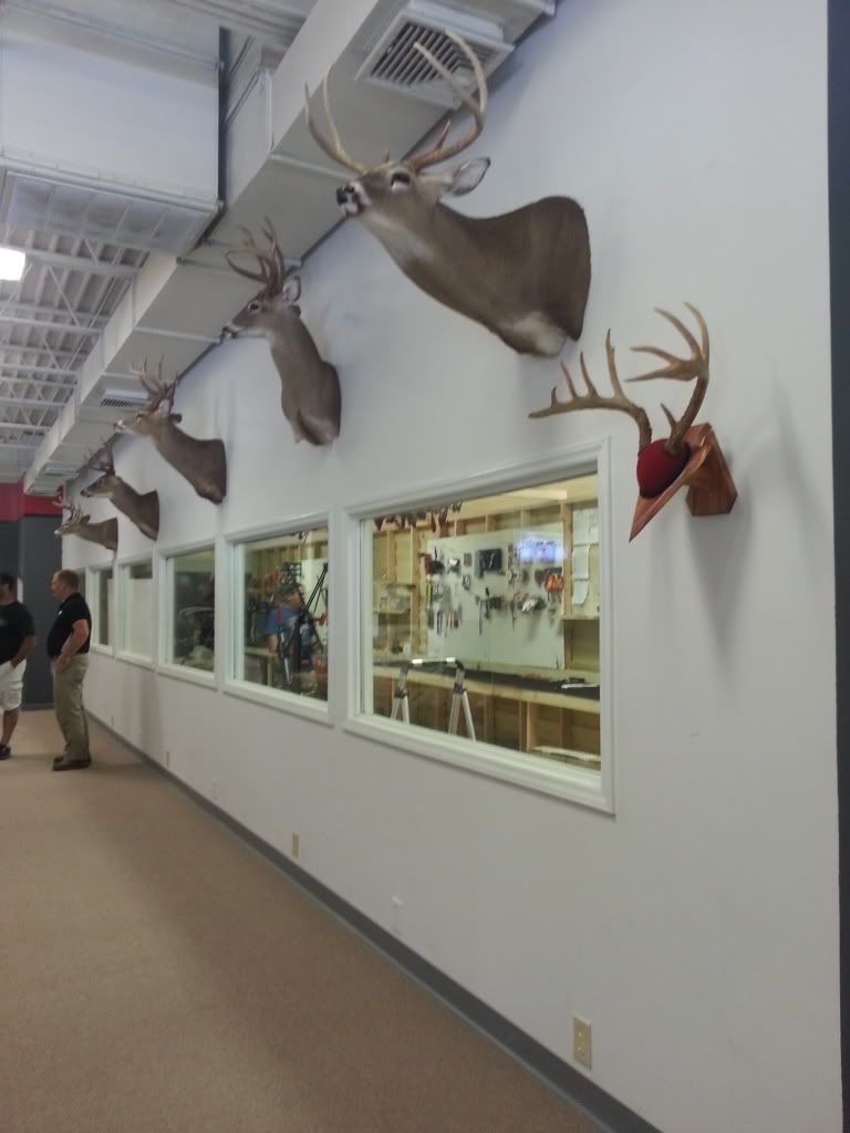 New Archery shop in Greensboro, NC Archery Talk Forum