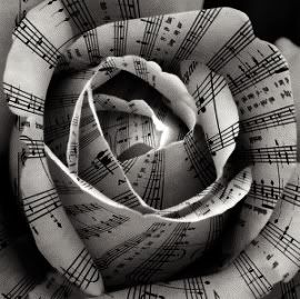 Music rose Pictures, Images and Photos