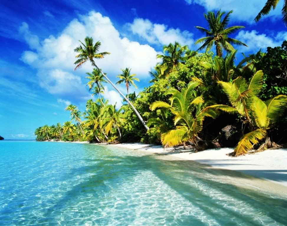 exotic beach images