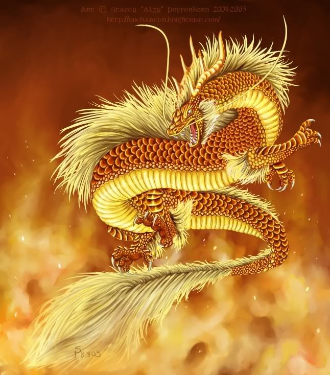 Chinese Golden Dragon Pictures, Images and Photos