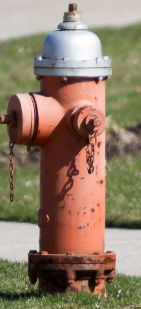 IMAGE: http://i258.photobucket.com/albums/hh280/invertalon/11.jpg