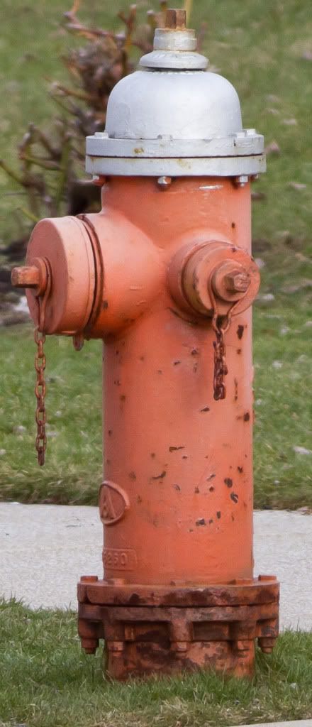 IMAGE: http://i258.photobucket.com/albums/hh280/invertalon/22.jpg