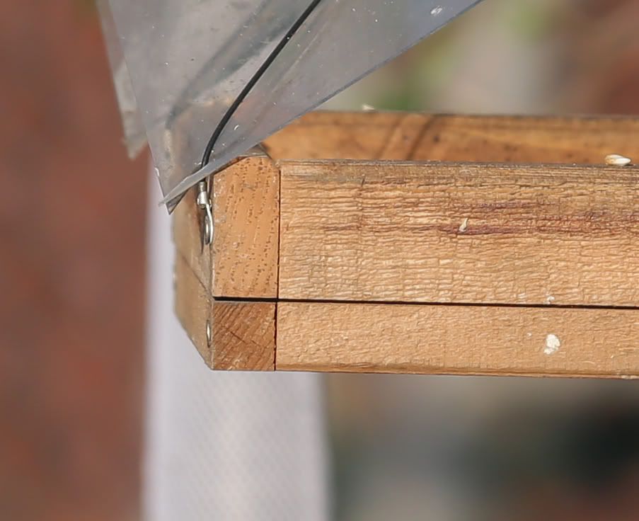 IMAGE: http://i258.photobucket.com/albums/hh280/invertalon/241052.jpg