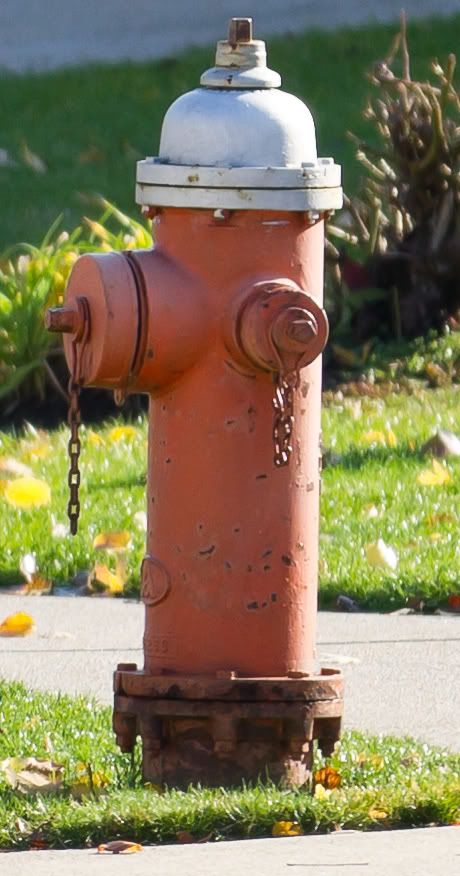 IMAGE: http://i258.photobucket.com/albums/hh280/invertalon/33.jpg