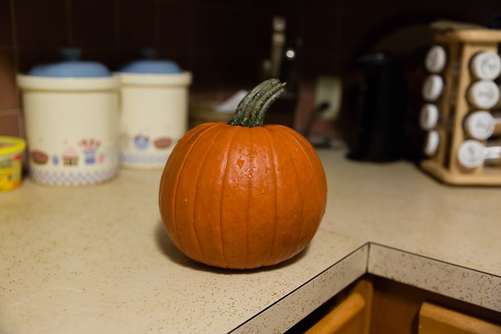 IMAGE: http://i258.photobucket.com/albums/hh280/invertalon/6M3C4200.jpg