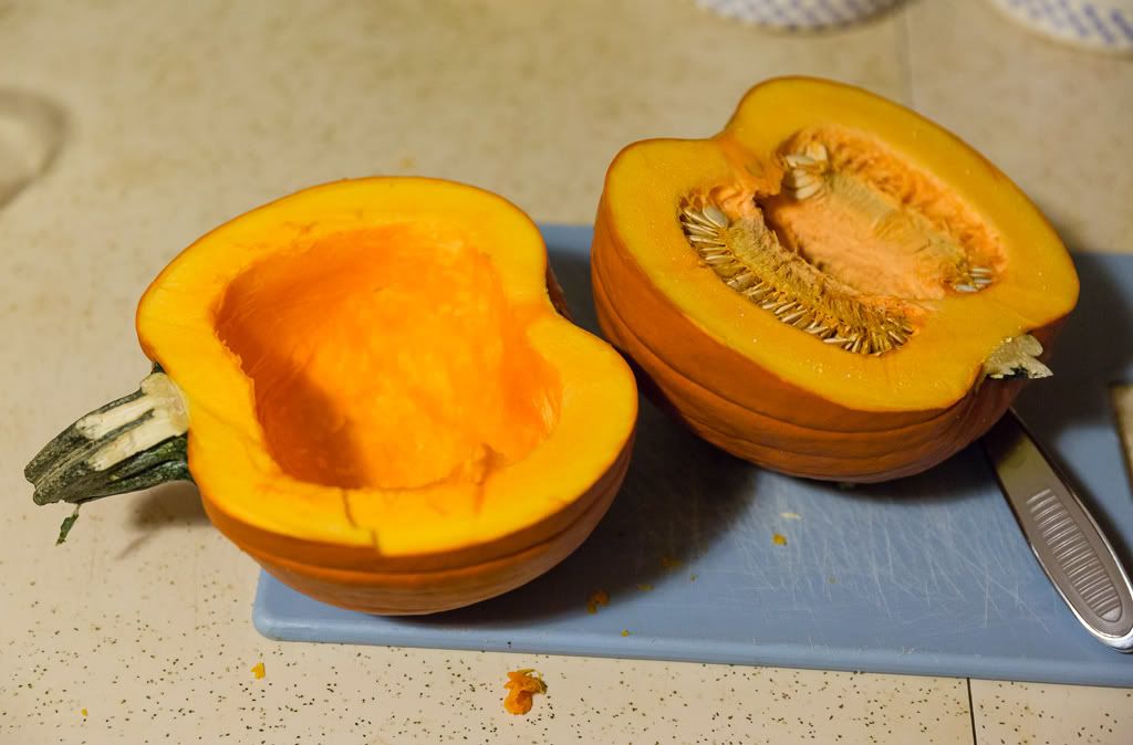 IMAGE: http://i258.photobucket.com/albums/hh280/invertalon/6M3C4203.jpg