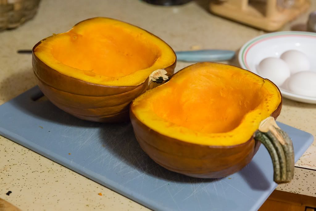 IMAGE: http://i258.photobucket.com/albums/hh280/invertalon/6M3C4240.jpg