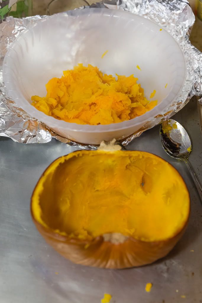 IMAGE: http://i258.photobucket.com/albums/hh280/invertalon/6M3C4241.jpg