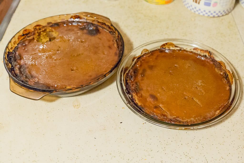 IMAGE: http://i258.photobucket.com/albums/hh280/invertalon/6M3C4263.jpg