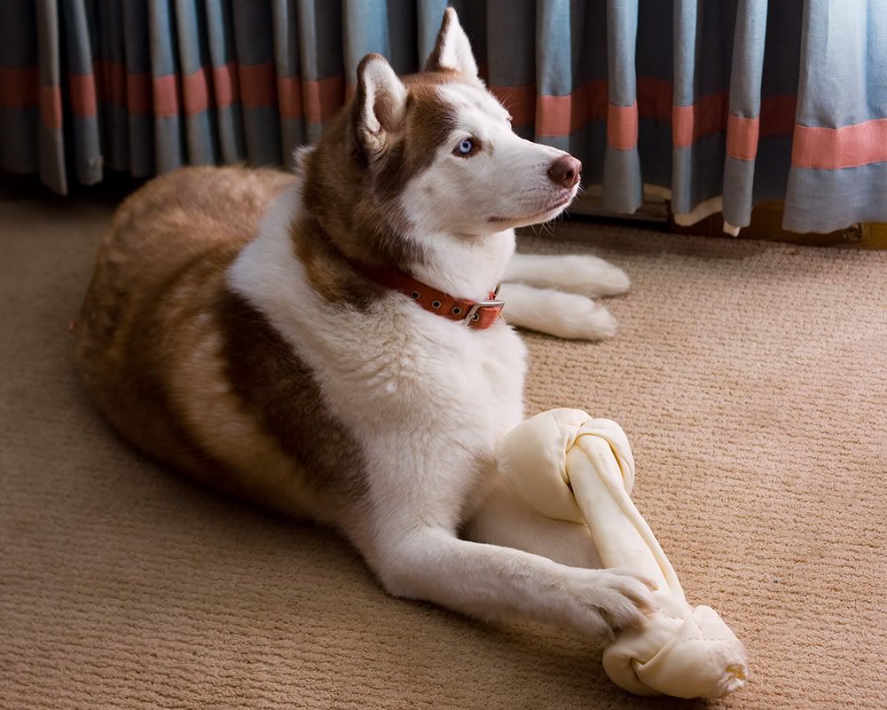 IMAGE: http://i258.photobucket.com/albums/hh280/invertalon/7Dresize.jpg