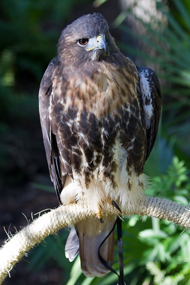 IMAGE: http://i258.photobucket.com/albums/hh280/invertalon/7Dt5.jpg