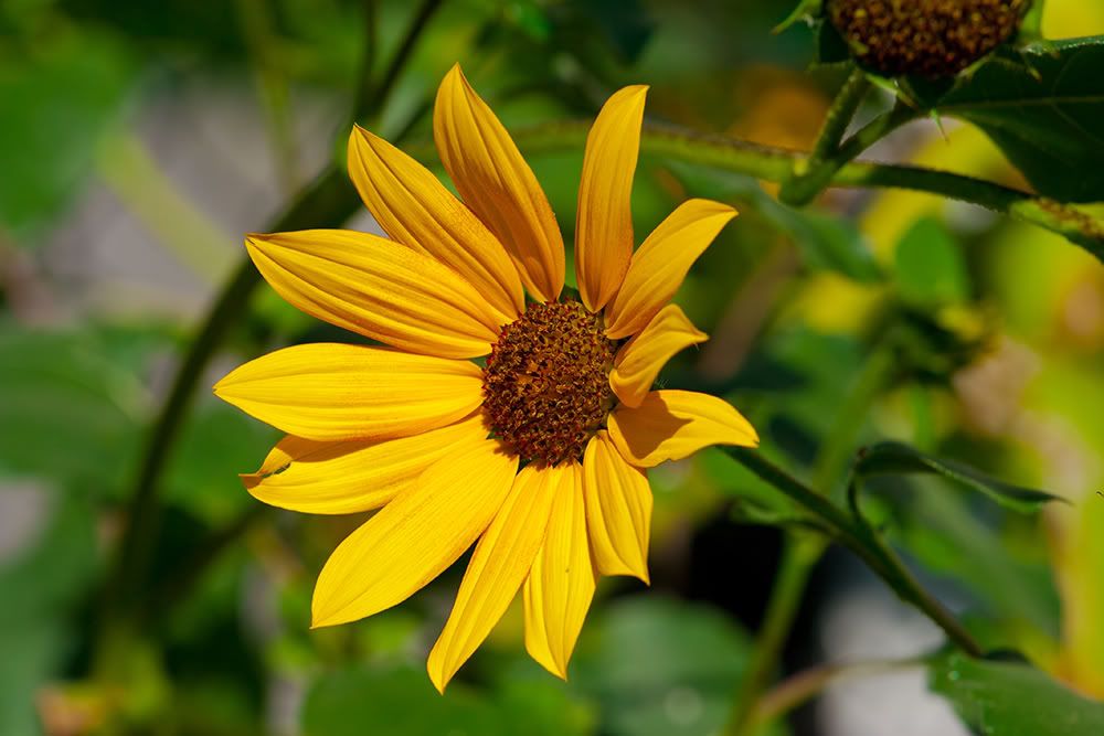 IMAGE: http://i258.photobucket.com/albums/hh280/invertalon/IMG_8950resize.jpg