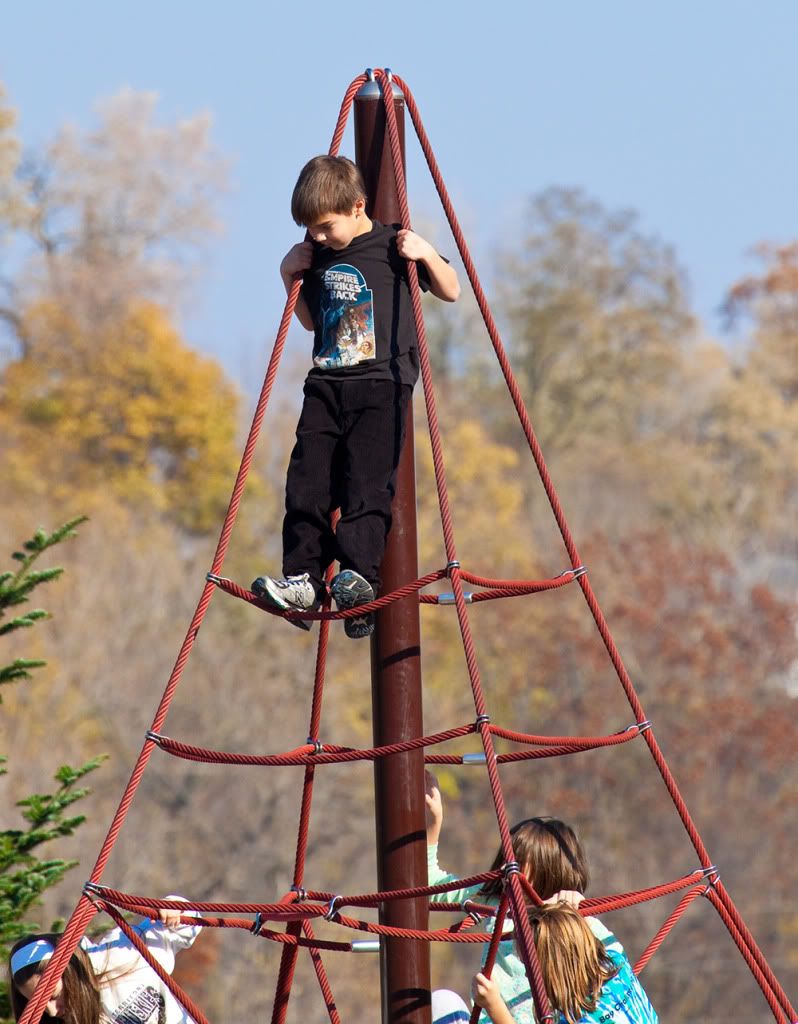 IMAGE: http://i258.photobucket.com/albums/hh280/invertalon/Photographs/4.jpg