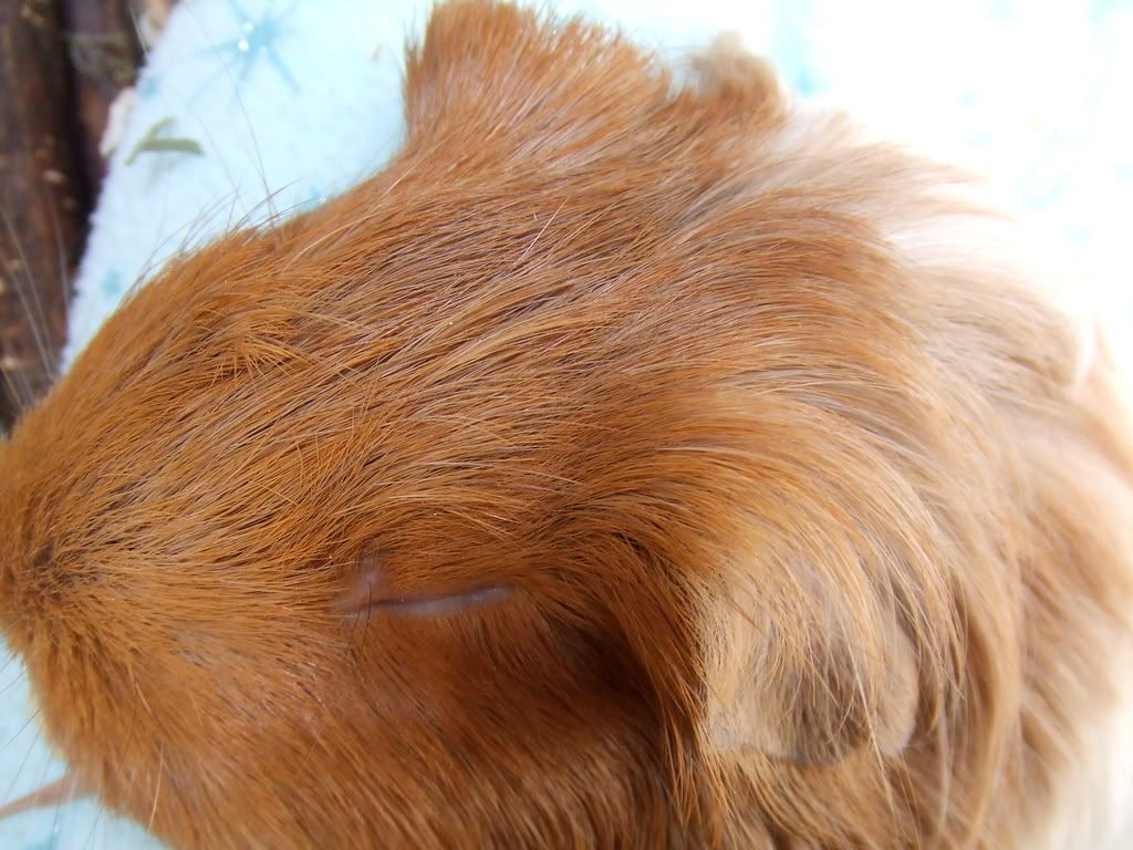 DSCF0058.jpg