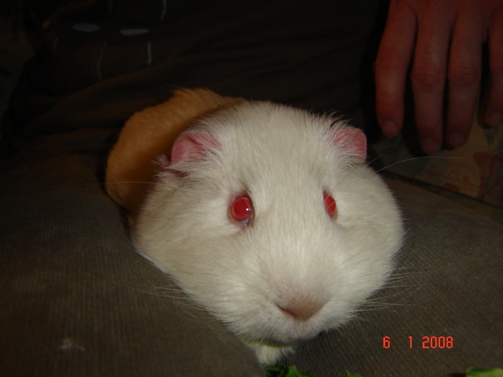 DSC02873.jpg