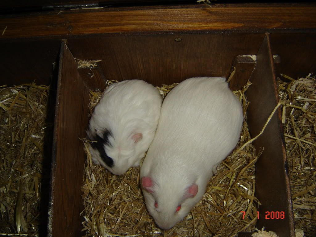 DSC02876.jpg