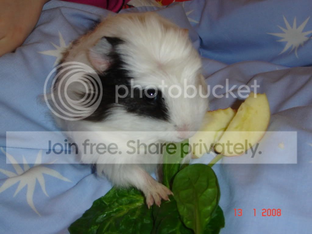 DSC02903.jpg