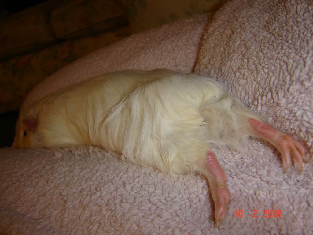 DSC03114.jpg