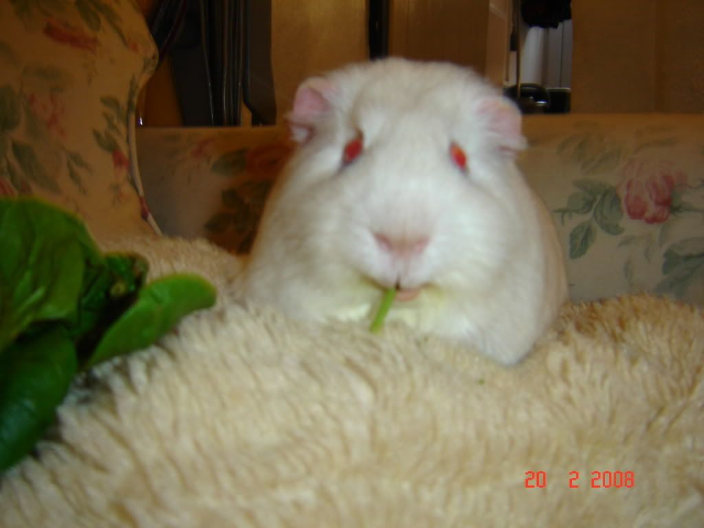 DSC03150.jpg