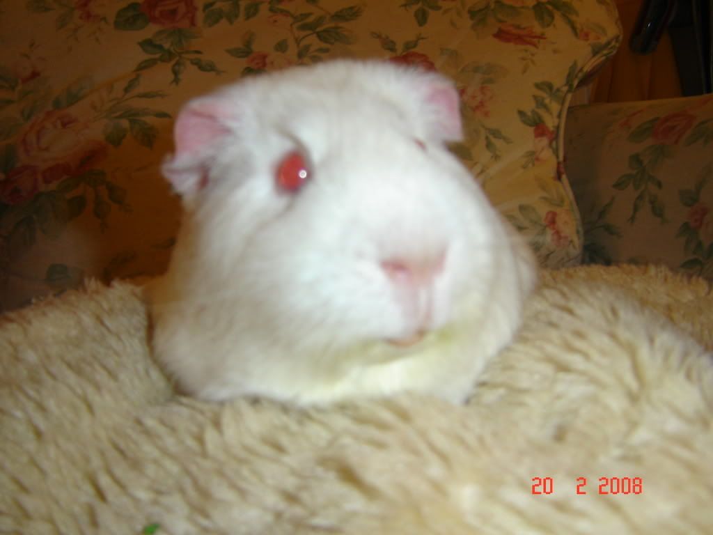 DSC03168.jpg