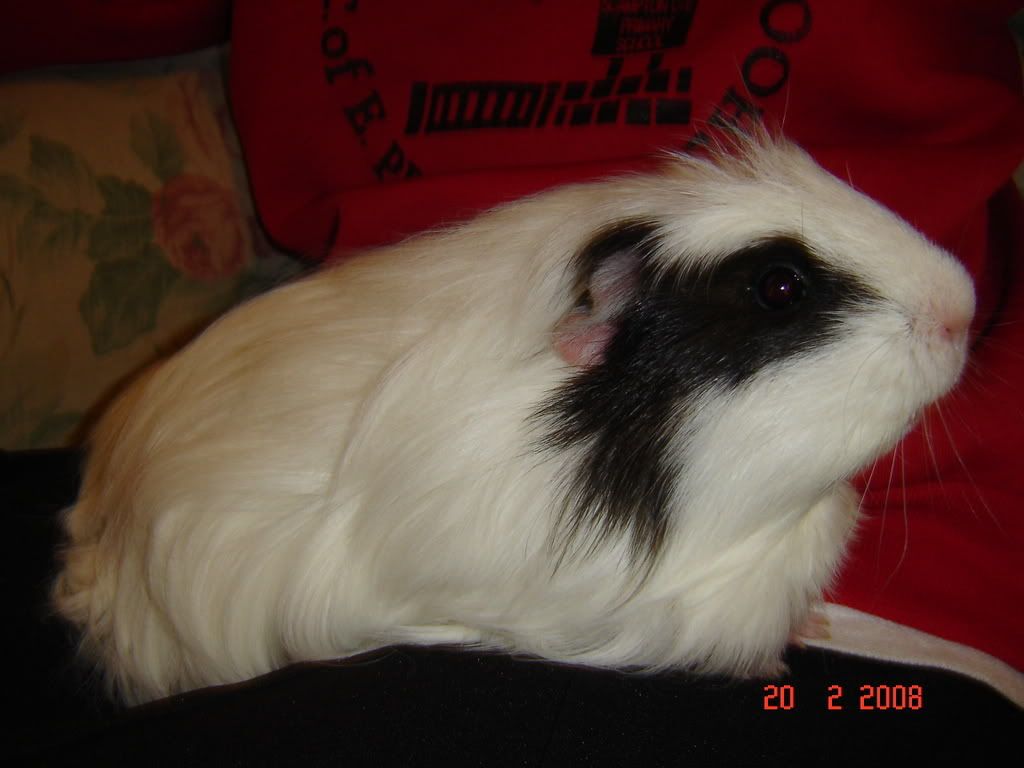 DSC03171.jpg