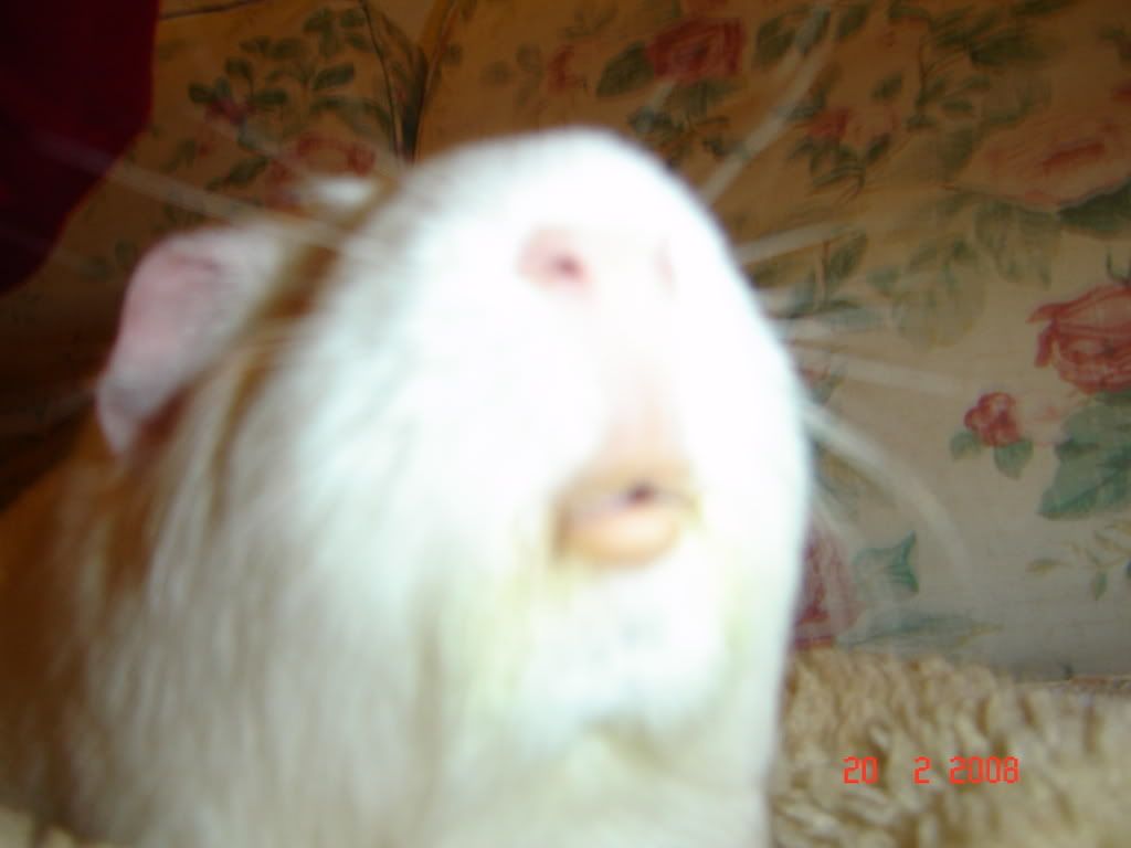 DSC03172.jpg