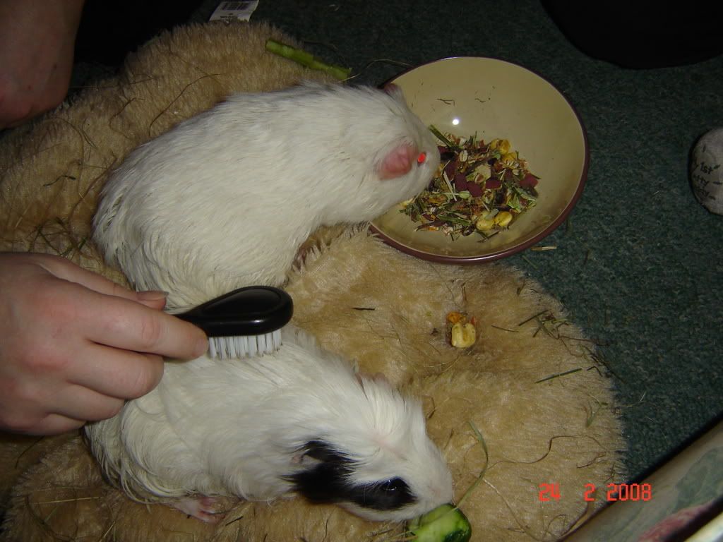 DSC03222.jpg