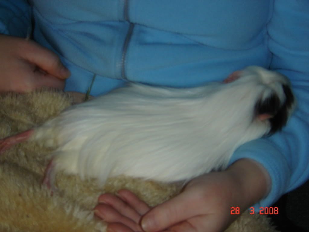 DSC03339.jpg