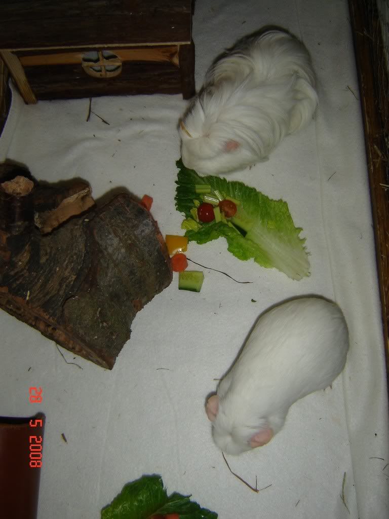 DSC03740.jpg