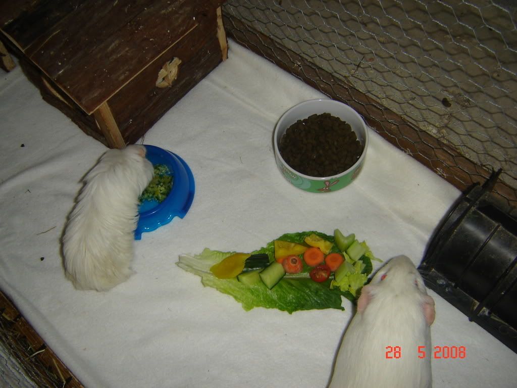DSC03741.jpg
