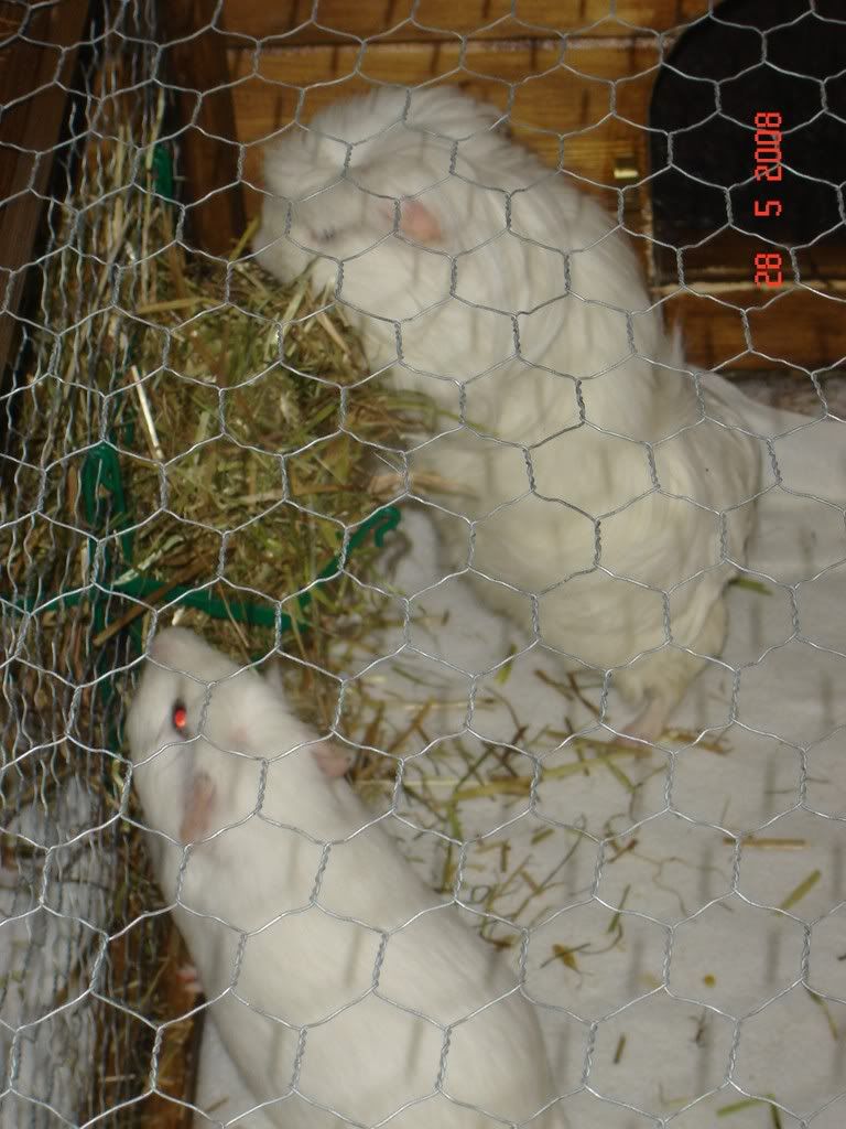 DSC03749.jpg
