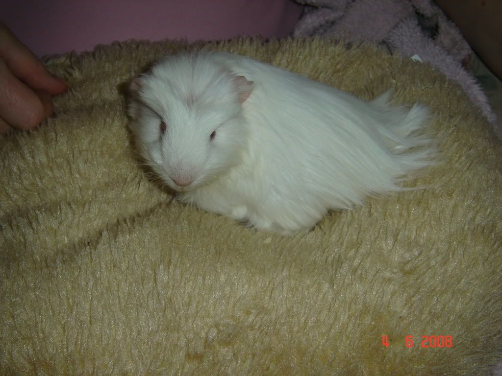 DSC03781.jpg