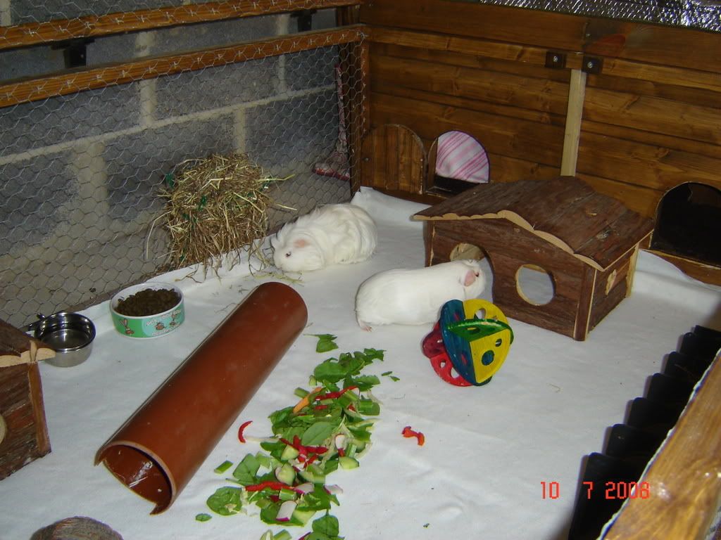 DSC03820.jpg