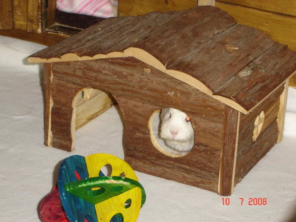 DSC03822.jpg