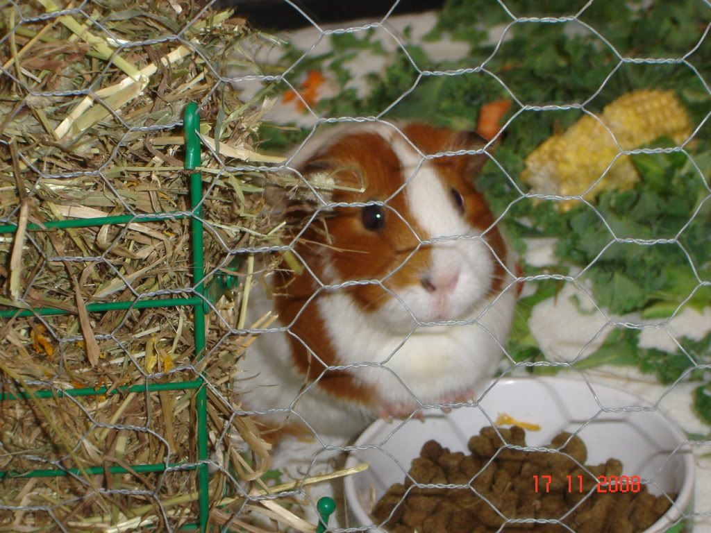 DSC04266.jpg