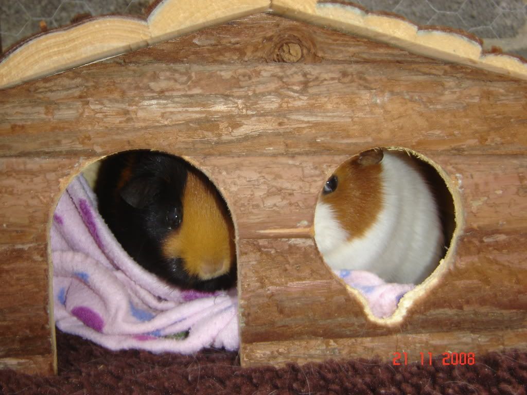 DSC04288.jpg